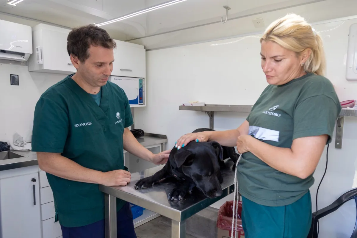 Castraciones de mascotas en San Isidro aumentaron un 17% en 2026