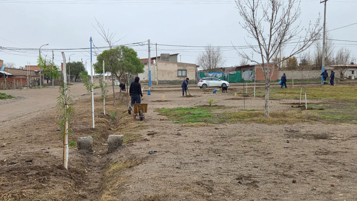Nuevas plantas en la plaza del barrio Carlos Soria