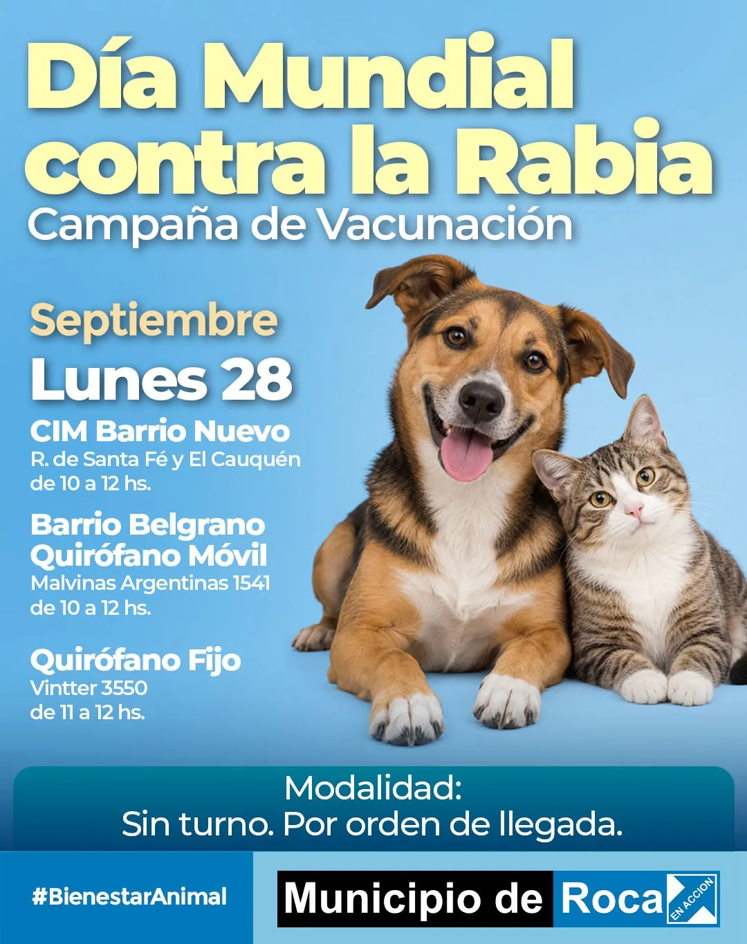 Vacunación antirrábica gratuita en Roca para mascotas