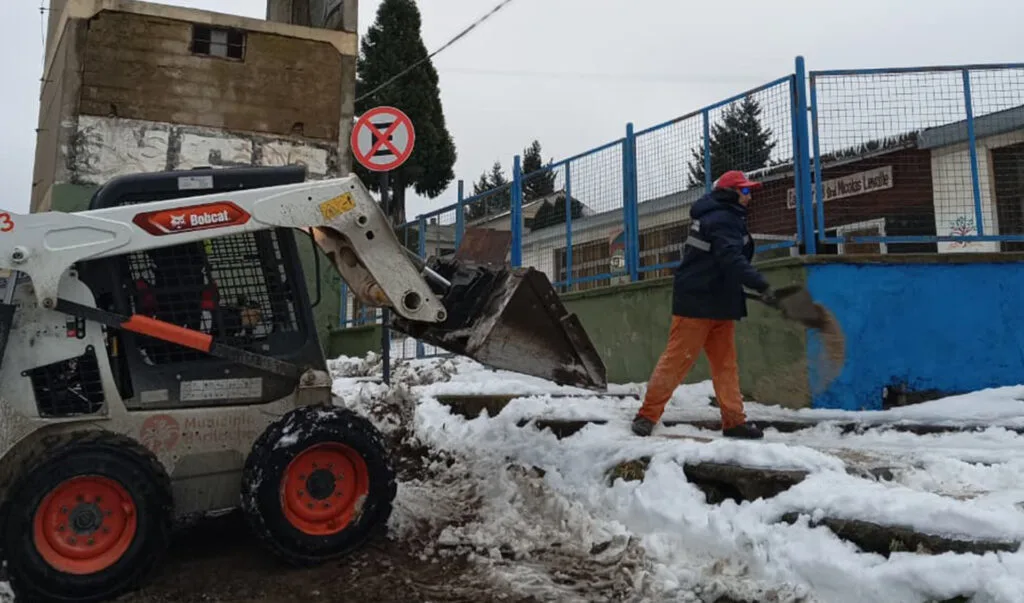 Bariloche: operativo de nieve avanza tras la tormenta y se castraron 97 animales