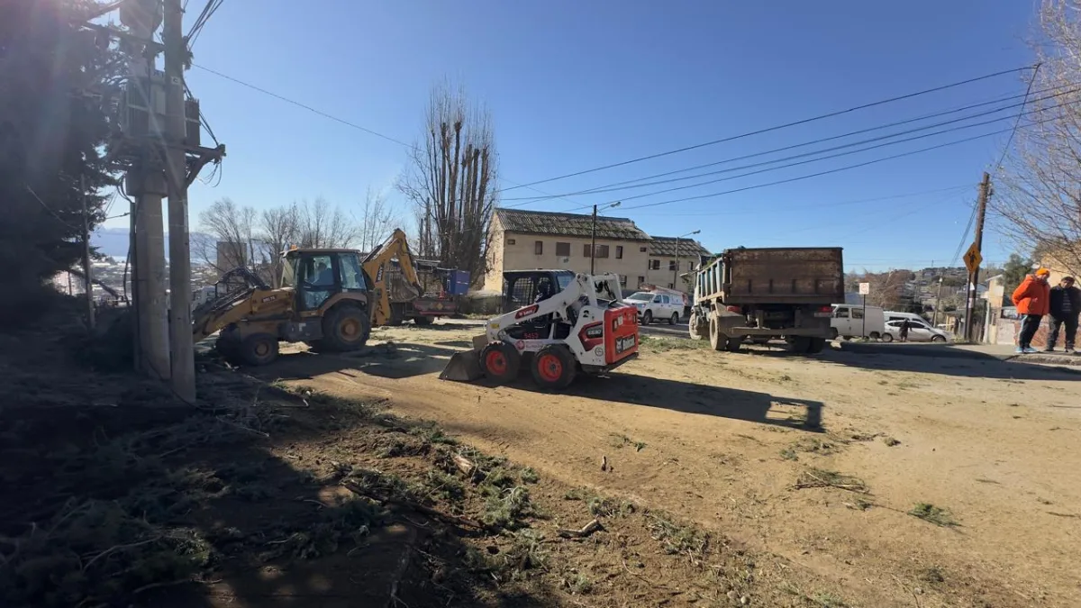 Intervención de árboles en calle Beschtedt para mayor seguridad