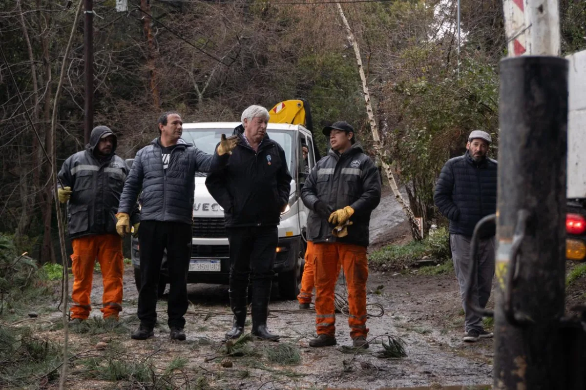 Operativo de seguridad por un pino en riesgo en Bariloche