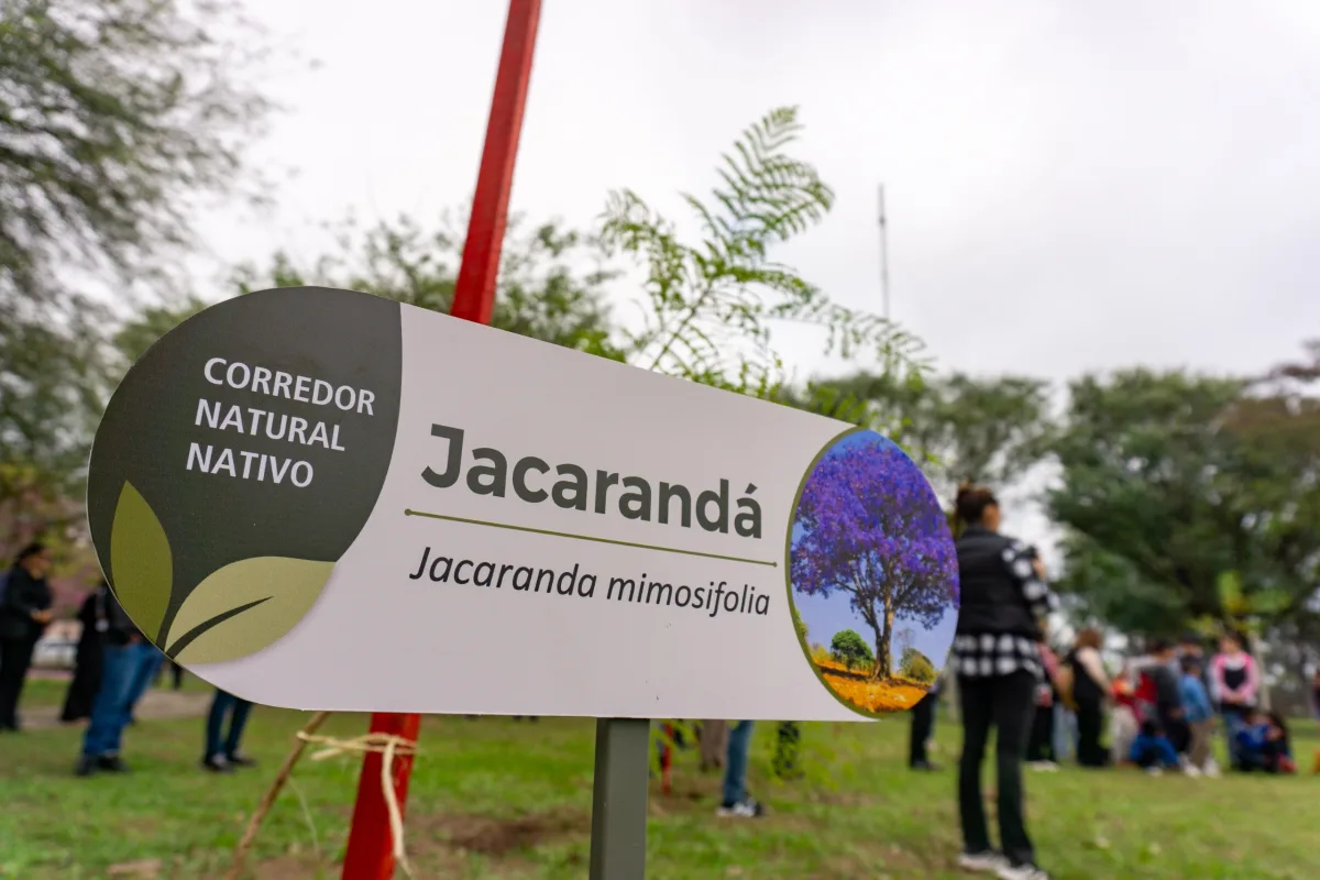 Se plantaron más de 20 especies nativas en Sáenz Peña