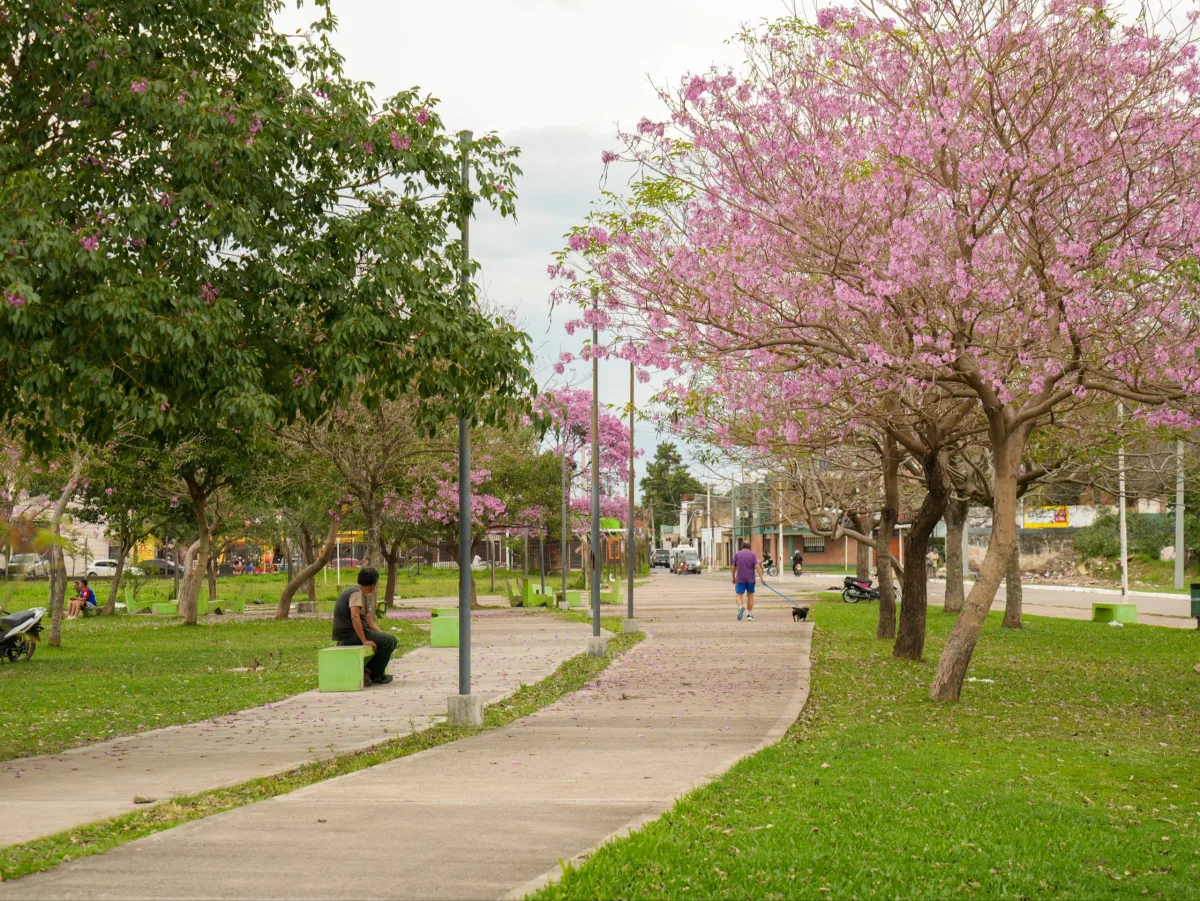 Abre el concurso de fotografía 'La ciudad que queremos florece'