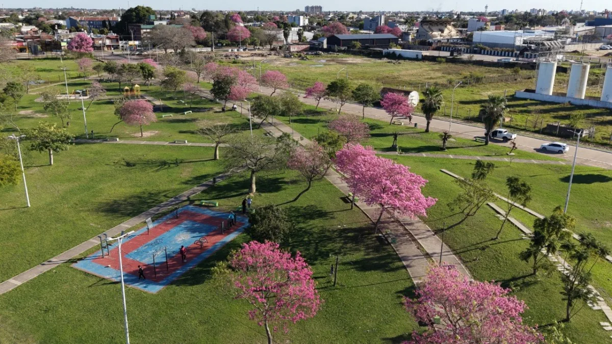 Actividades por la Semana del Árbol en Corrientes del 21 al 28 de agosto