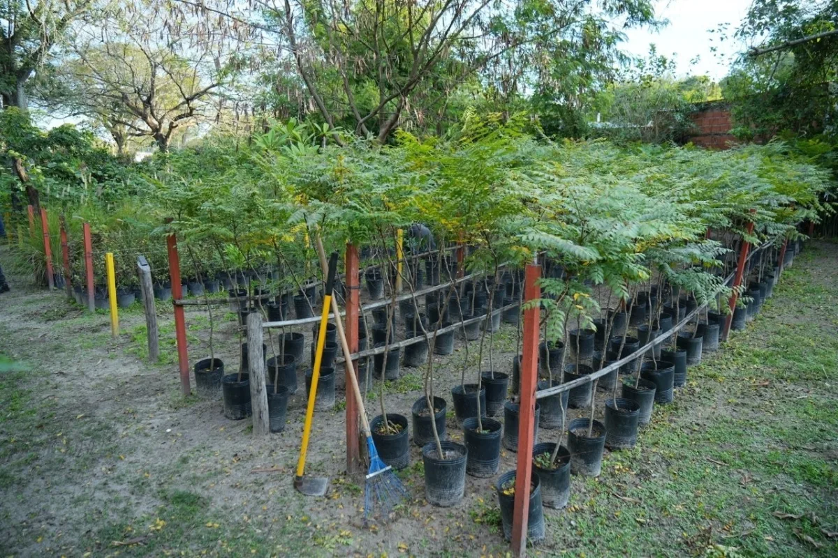 Cierre de la Semana del Árbol con jornada sobre su rol en la ciudad