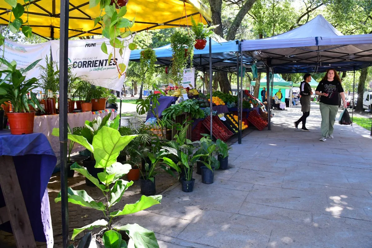 Ferias de la Ciudad ofrecen productos frescos en diferentes barrios