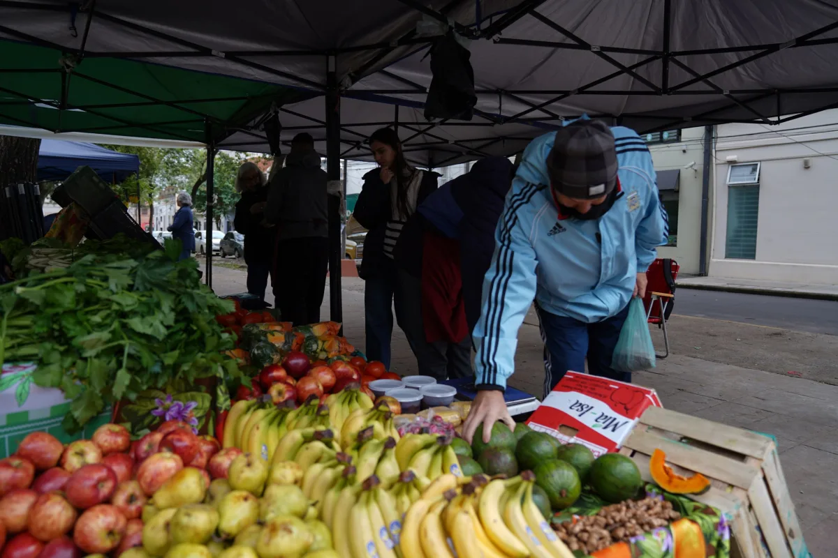 Ferias de la Ciudad: productos frescos y artesanías hasta el domingo