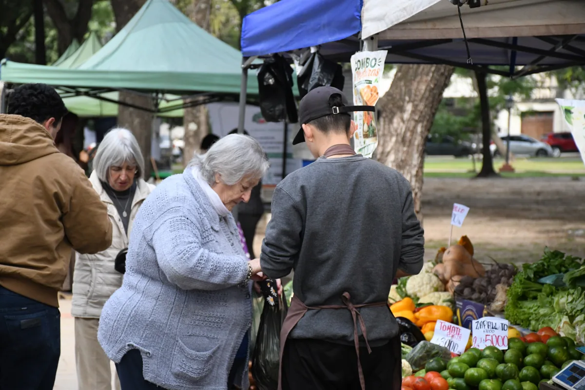 Ferias en espacios públicos: productos frescos y ofertas para vecinos