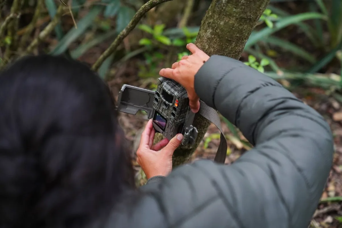 Instalan cámaras en la Reserva Santa Catalina para monitorear fauna