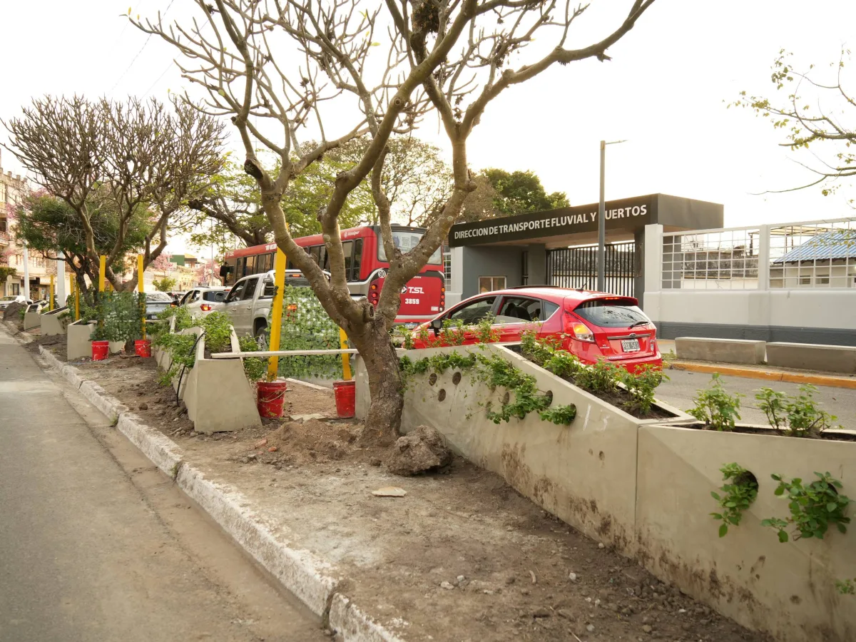 Mejoras en la Costanera para optimizar el tránsito y la seguridad vial
