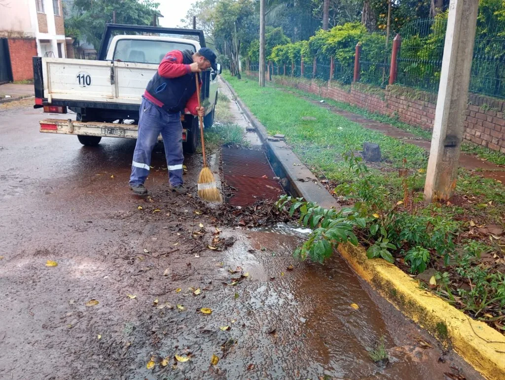 Refuerzan limpieza y mantenimiento para mejorar el drenaje en Oberá