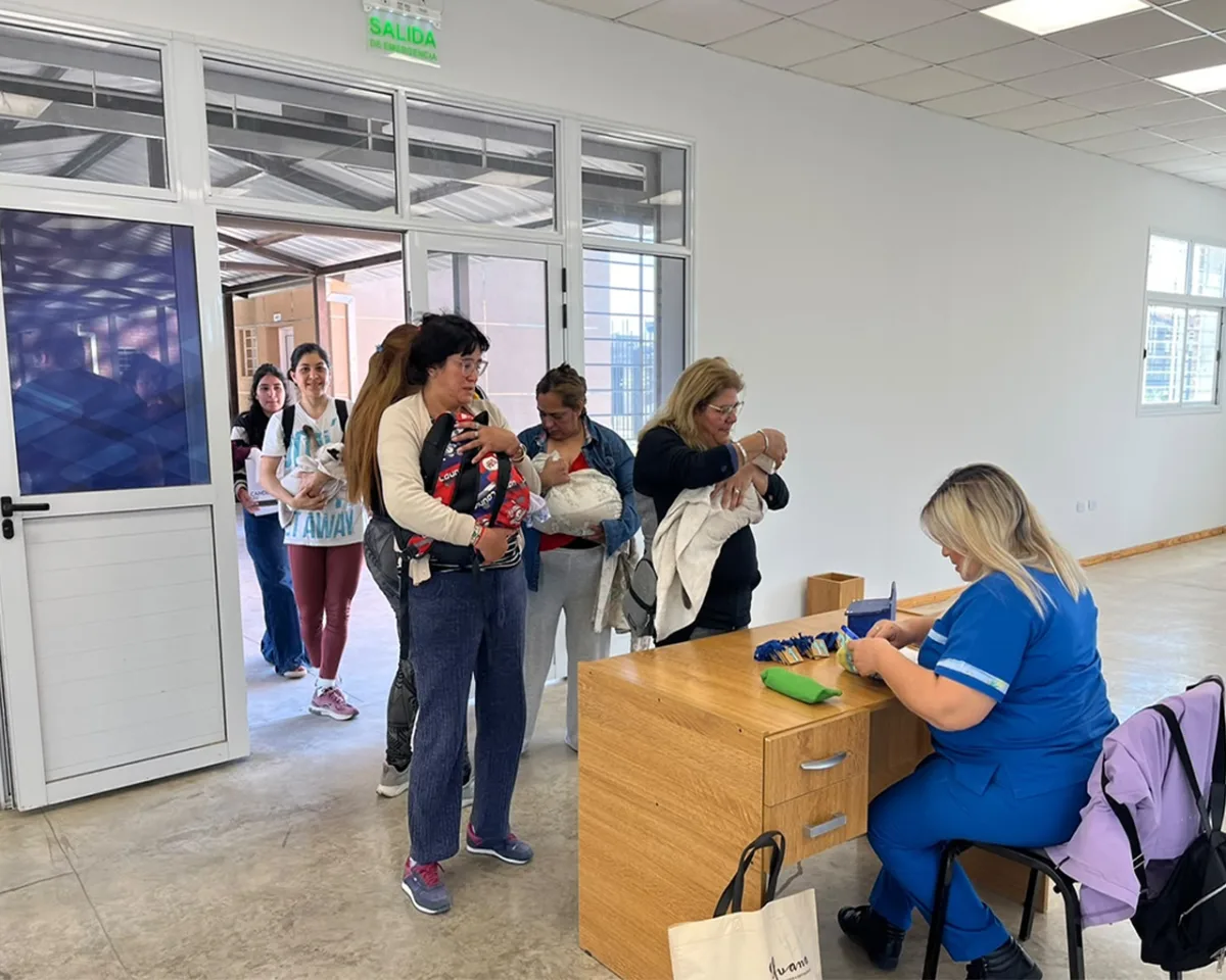 Más de 100 castraciones gratuitas por semana en la ciudad