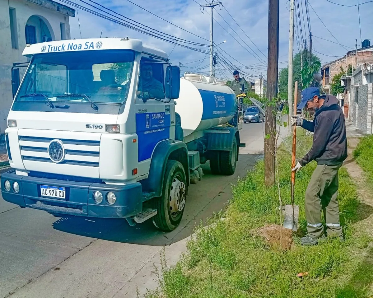Más de 3.600 árboles nuevos para el barrio Primera Junta