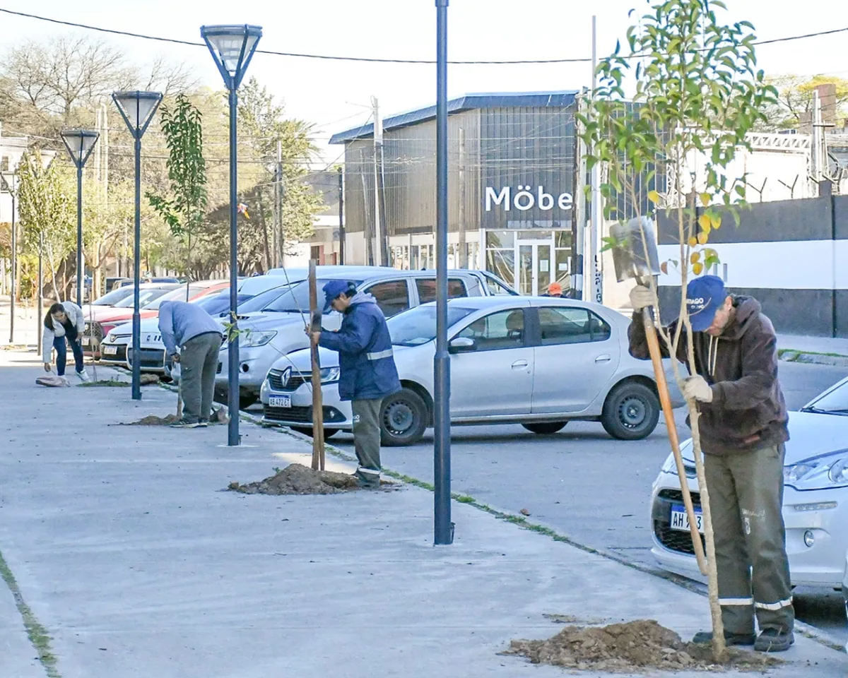 Reforestación en Congreso: Plantan árboles para mejorar el barrio