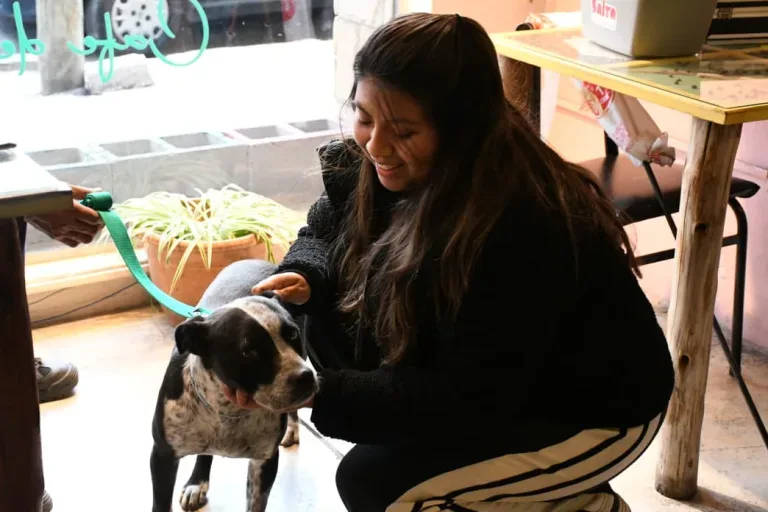 Adopción de perros: tres mascotas encontraron un hogar en Salta