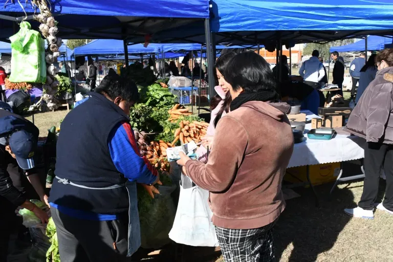 Beneficios de 'El Mercado en tu barrio' para familias del sur