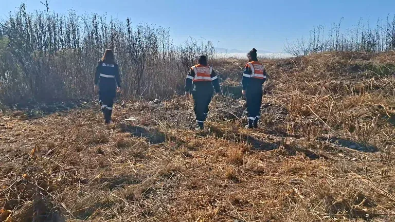 Capacitación sobre ataques de perros callejeros en el municipio