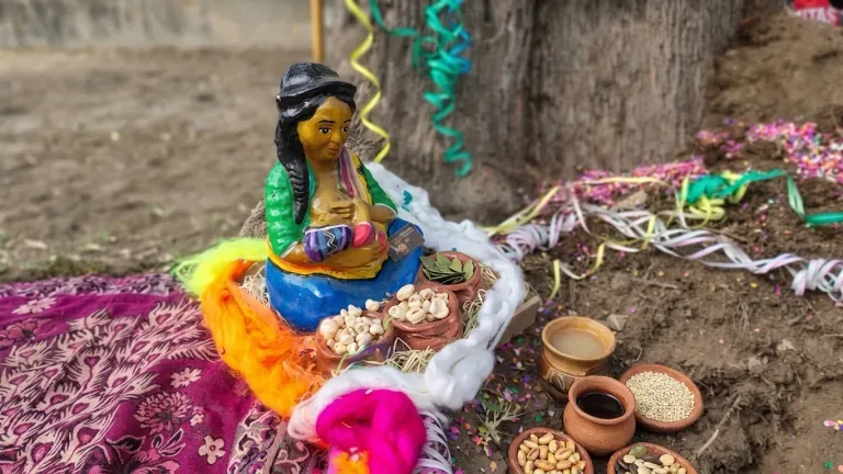 Celebración de la Pachamama en el parque San Martín con propuestas culturales