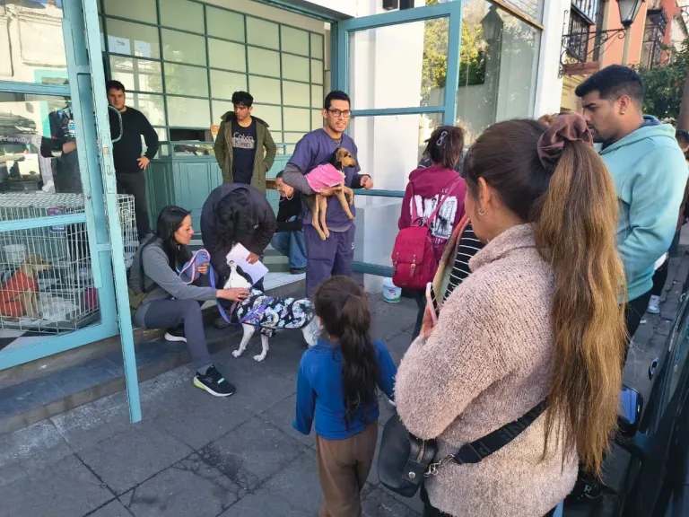 Cinco animales encontraron un hogar en jornada de adopción