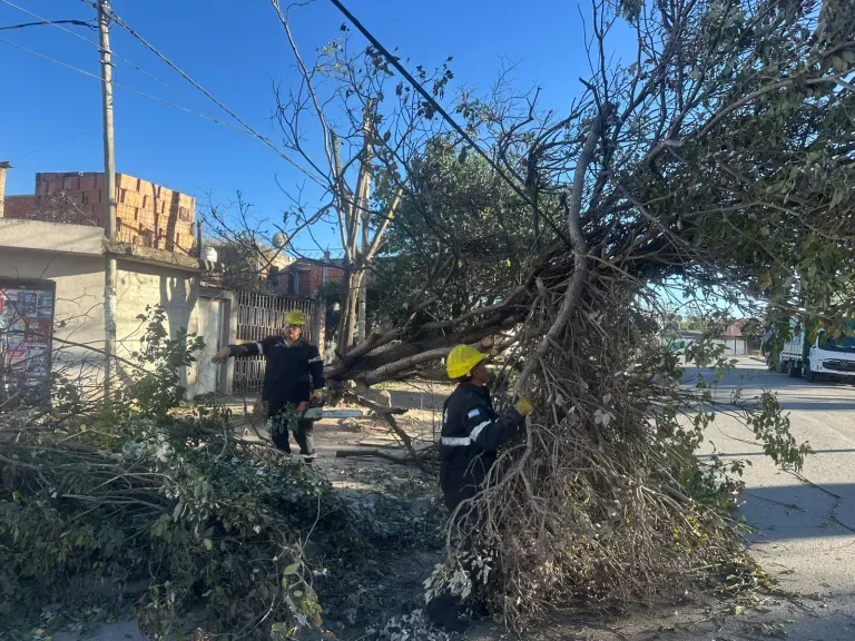 Intervención municipal ante 135 incidentes por viento y fuego