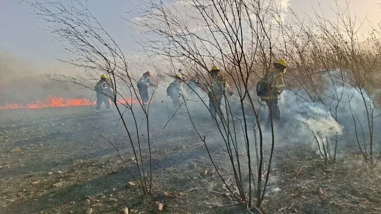 Intervención rápida de Protección Ciudadana ante incendio en zona sur