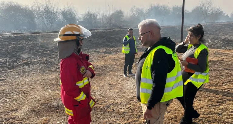 Intervenciones municipales por incidentes relacionados con el viento