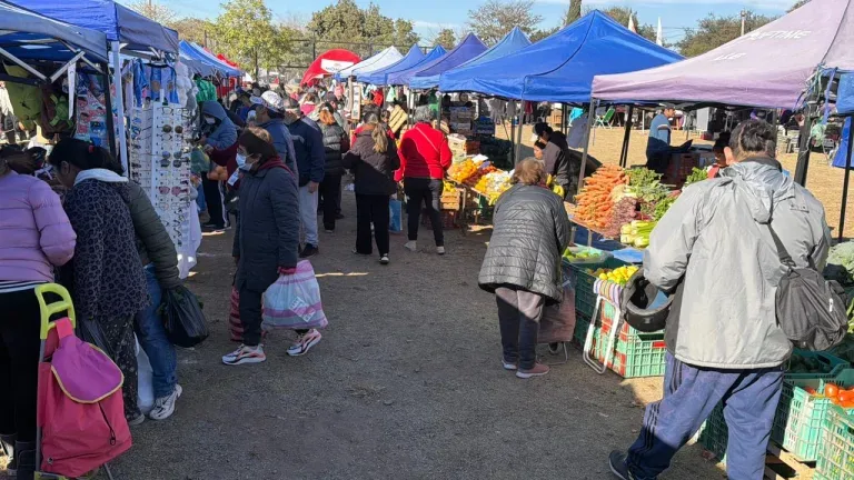 Servicios y precios promocionales en el Mercado en tu Barrio
