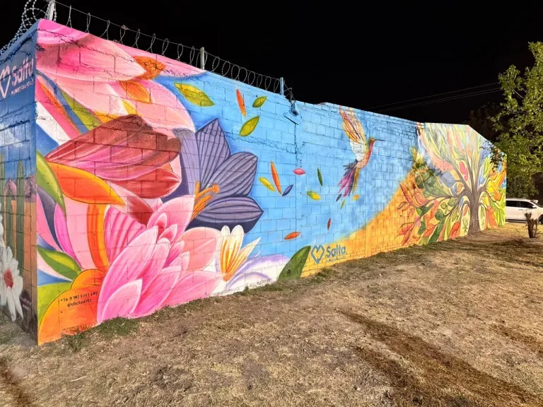 Un nuevo mural embellece el barrio Ampliación Bancario