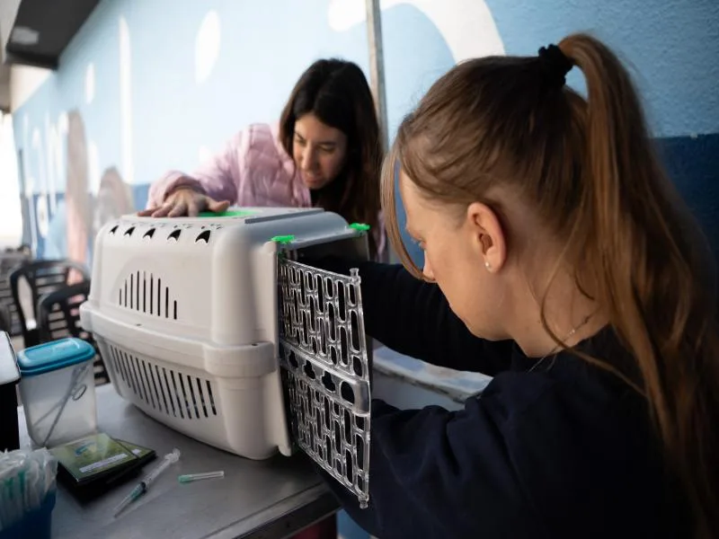 Jornada de salud y mural en Temperley para animales y dueños
