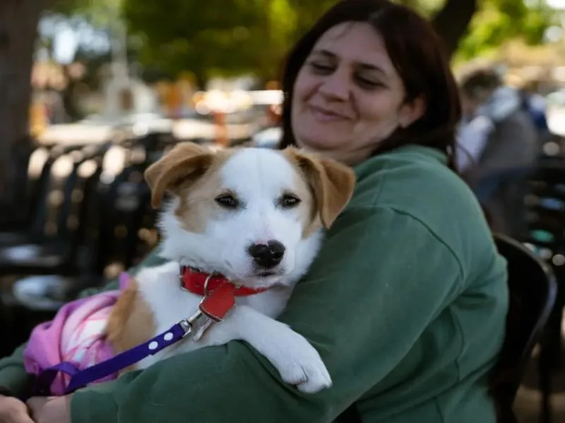 Más de 100 mascotas fueron castradas en Temperley