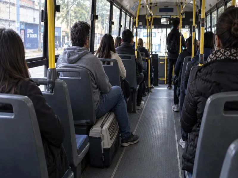 Nueva ordenanza permite el transporte de mascotas en colectivos