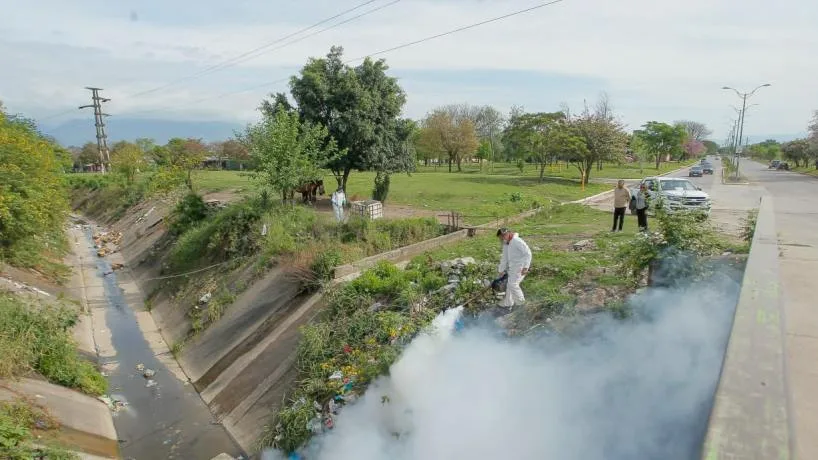 Operativos de prevención del dengue en Lomas 600