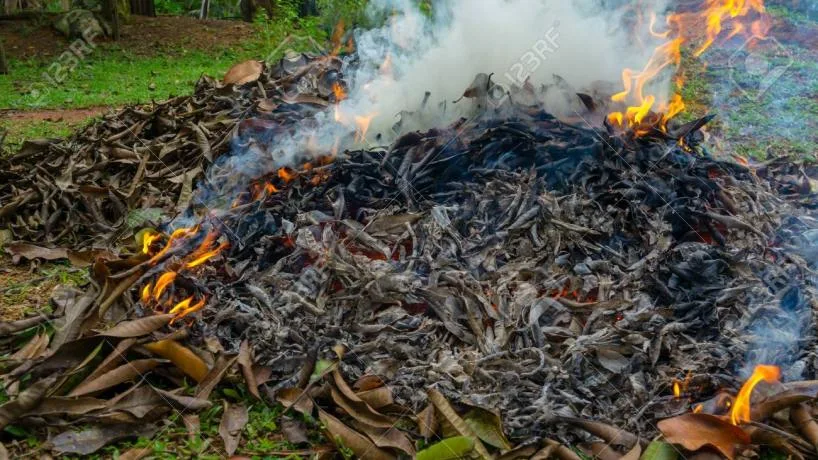 Prohibición de quema de residuos en Tafí Viejo para cuidar el ambiente