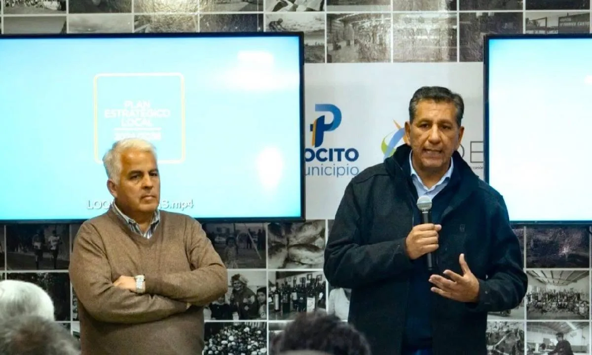 Pocito establece conexión directa para importar palta chilena