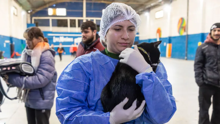 Jornada de Salud Animal en Berazategui el 5 de agosto