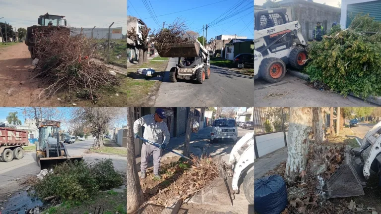 Limpieza integral en Berazategui: barrios beneficiados y consejos