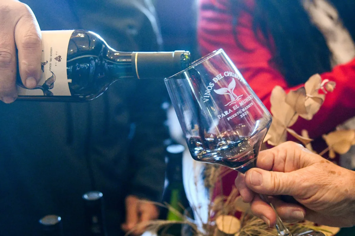 Puerto Madryn acogerá el 2º Encuentro Provincial de Vitivinicultores