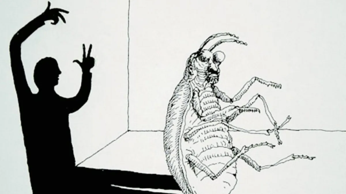 Taller gratuito sobre 'La Metamorfosis' de Kafka en Puerto Madryn