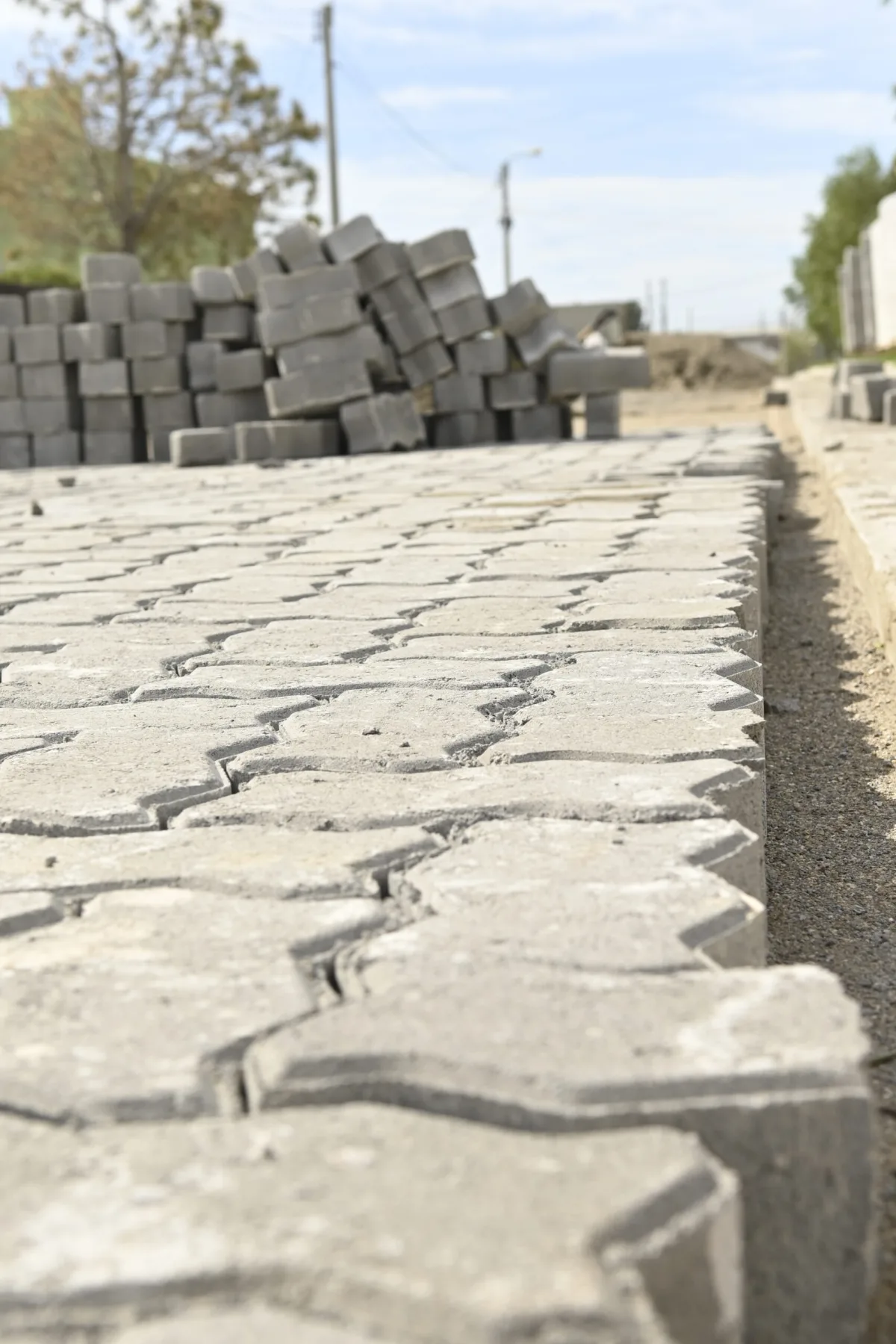 Registro de oposición para la pavimentación de calle 20 de Junio