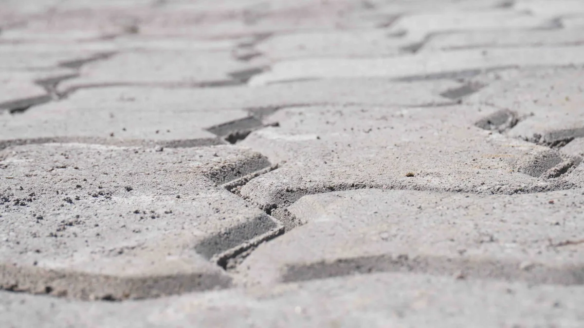 Registro de oposición para la pavimentación de Guerrico en Rada Tilly