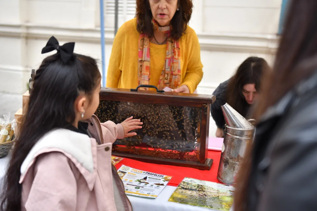 El Paseo de la miel ofreció productos naturales a buen precio