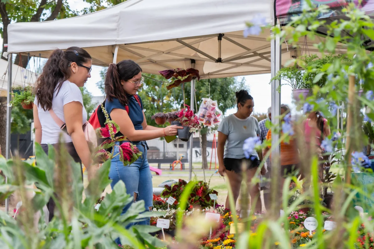 Jornada de venta de flores: variedad y precios accesibles