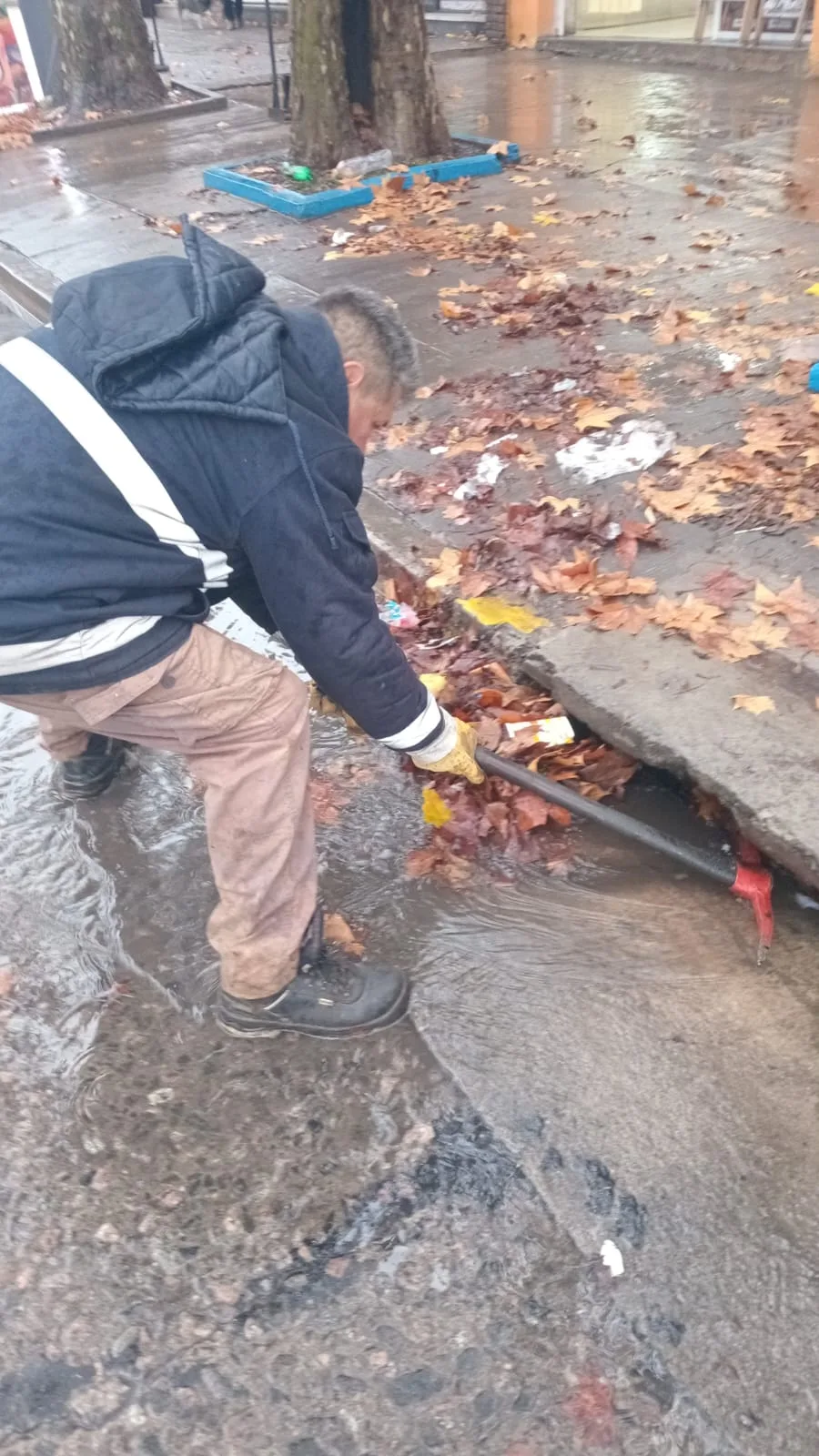 Limpieza en barrios para prevenir anegamientos por lluvias