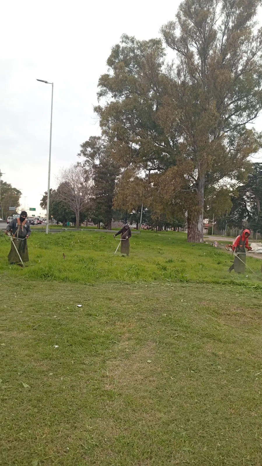 Mejoras en la limpieza y mantenimiento de accesos en el distrito