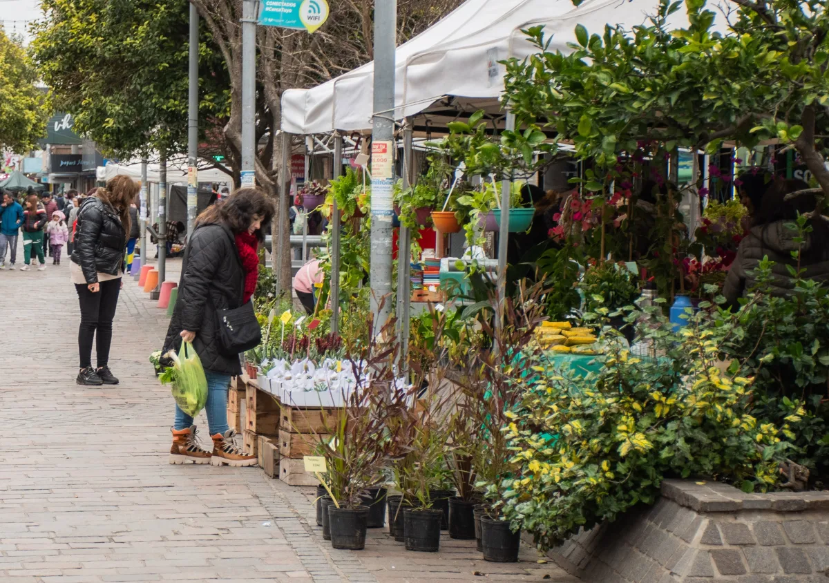 Mercado de flores en la peatonal para el 16 de julio