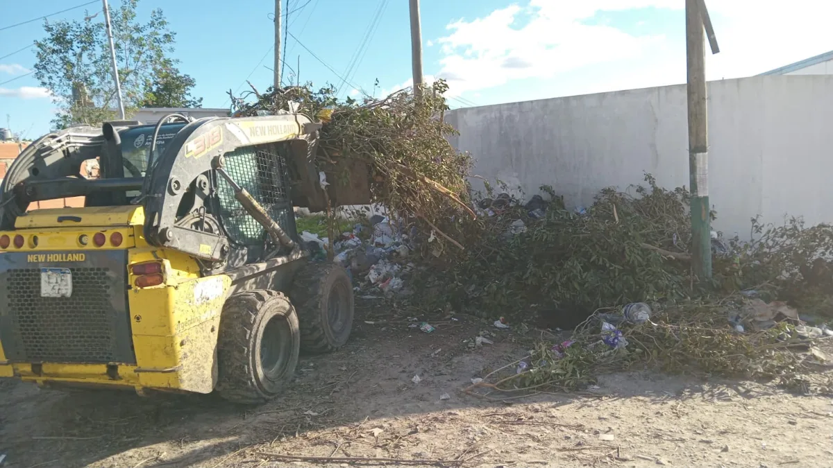 Multa a vecino por arrojar basura en la vía pública