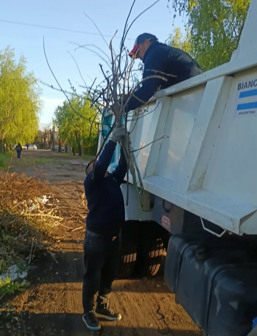 Operativos de limpieza y mantenimiento en Ingeniero Allan y Bosques