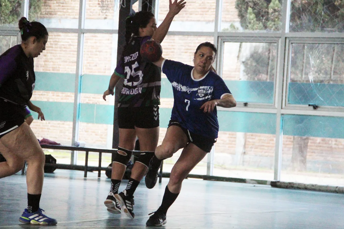 Se dictará un seminario de arbitraje de handball en Santa Rosa