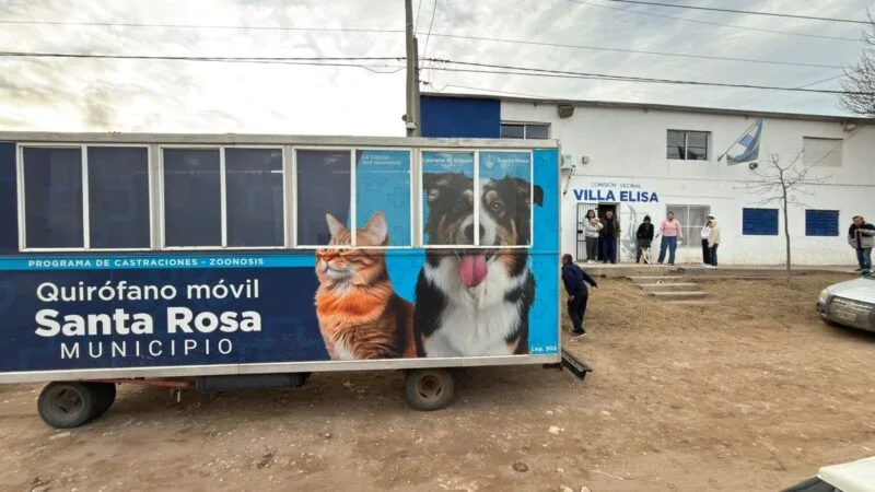 Vacunaciones y castraciones para mascotas en Villa Elisa
